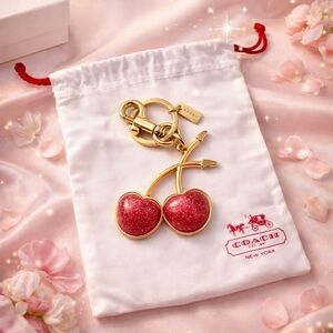 AUTHENTIC Coach XL Cherry Resin Keychain